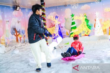 7 negara paling aman di dunia versi Global Peace Index 2025