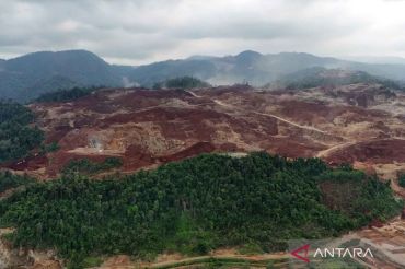 Sekitar 2 juta hektar lahan berpotensi mengandung nikel