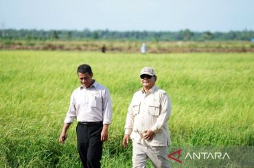Indonesia plans 100,000 ha land clearing for Papua rice program
