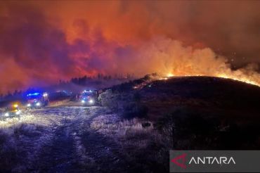 Kebakaran hutan di Spanyol Selatan tewaskan 11 orang
