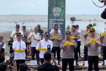 Menteri LH canangkan perlindungan & pengelolaan mangrove di Mempawah