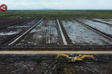 Dalam dua pekan progres cetak sawah rakyat Desa Ujung capai 40 hektare