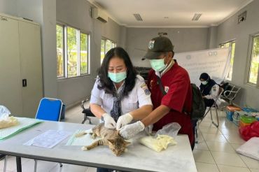 Pemkot Bima mengintensifkan vaksinasi antirabies usai 200 kasus gigitan