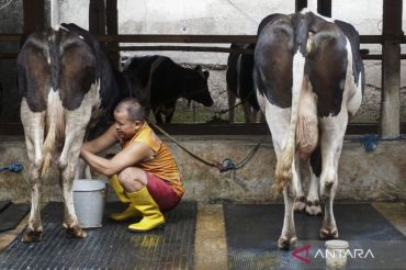 Indonesia expands free meal program with major dairy investment