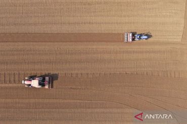 Musim tanam dimulai: truk dan mesin modern dukung produktivitas pertanian gandum