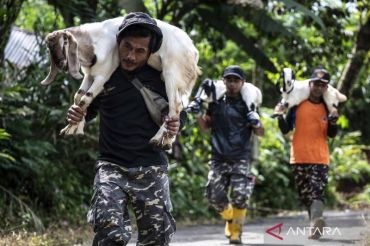 Waspadai longsor susulan di Banjarnegara, relawan evakuasi hewan ternak warga