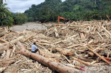 Indonesia investigates illegal logging links in Sumatra Flood debris