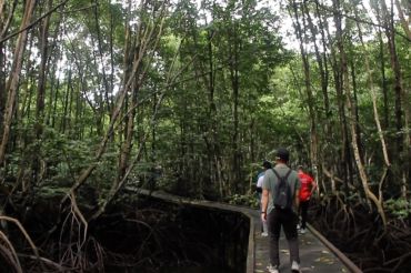 Bontang Mangrove Park, ruang konservasi di tengah kawasan industri