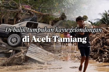 Di balik tumpukan kayu gelondongan di Aceh Tamiang