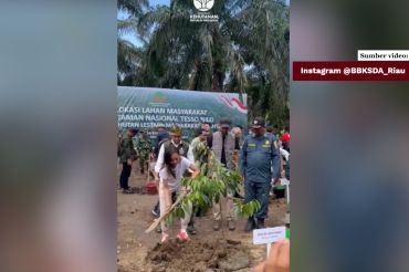 Pulihkan kawasan Tesso Nilo, Satgas PKH relokasi 227 KK