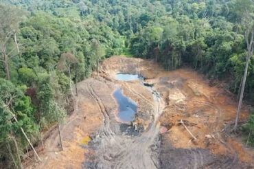 Kemenhut cabut 22 izin pemanfaatan hutan yang dinilai bermasalah