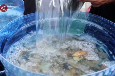 USK hadirkan solusi air bersih bagi korban banjir Aceh