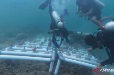 Marine ecosystems key to sustainable tourism: Deputy Minister