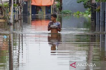 Banjir rendam Pekalongan, 8.692 KK terdampak