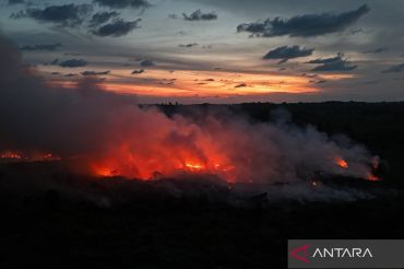 Kebakaran hutan dan lahan gambut makin meluas di Aceh Barat
