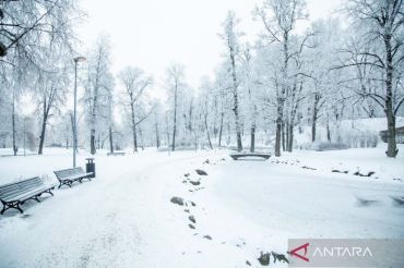 Pemandangan taman yang membeku di Latvia