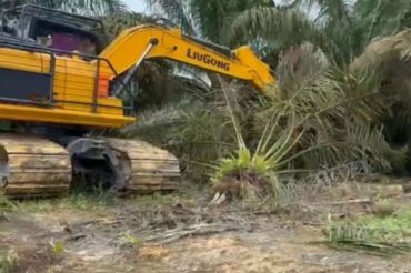 Korban penertiban Satgas PKH di Riau siapkan sekitar 100 gugatan