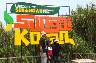 Sebangau, surga ekowisata gambut yang memikat wisatawan