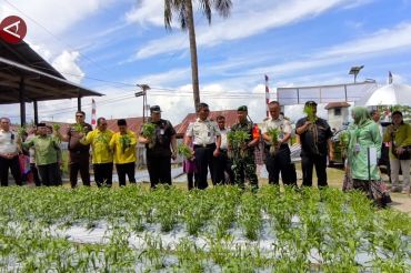 Panen raya Lapas Gorontalo, dari warga binaan untuk ketahanan pangan