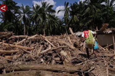 28 izin perusahaan dicabut telah melewati proses investigasi mendalam