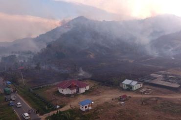 Sekitar 20 hektare kebun di Parigi Moutong terdampak karhutla