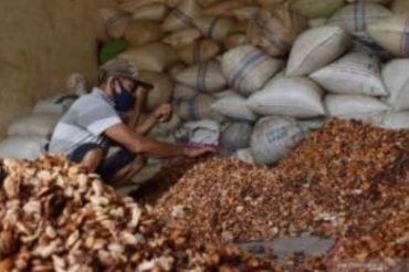Kemendag: Masuknya Kakao ke Bursa Bloomberg Dongkrak Harga Februari