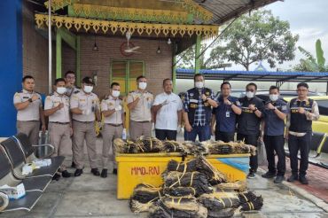 Indonesia foils attempted smuggling of monitor lizard skins