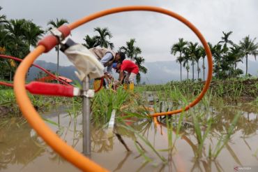 Badan Geologi edukasi masyarakat kenali 11 indikasi sinkhole Situjuah