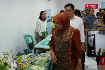 Village cooperatives not to kill off local small businesses: Ministry