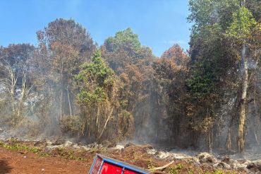 Polres Bengkalis tetapkan tersangka perambahan dan kebakaran hutan