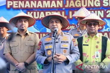 Muhammad Rahul Apresiasi Gerakan Tanam Jagung Serentak di Riau, Sinergi Polri dan Petani Perkuat Ketahanan Pangan