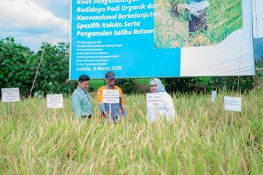 Pemkab Kolaka dan PT Vale panen raya padi dukung swasembada pangan