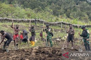 Satgas Yonif 511 dorong ketahanan pangan warga Numbukawi