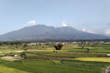 PGA: Gunung Marapi kembali erupsi Selasa sore