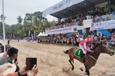 Pacu Kudo 2026 berdampak positif terhadap pariwisata Padang Pariaman