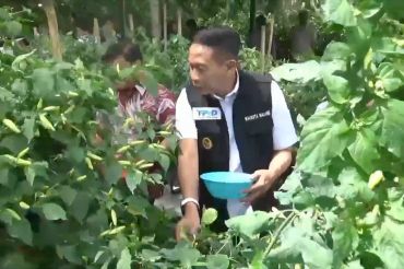 Harga cabai rawit melonjak, Pemkot Malang siapkan intervensi pasar