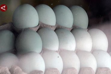 Nasib pedagang telur asin Brebes di persimpangan Tol Trans Jawa