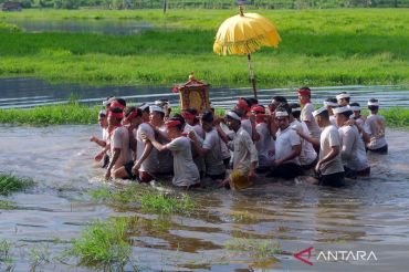 Warga Karangasem Bali gelar tradisi Meyab 3 tahun sekali mohon kesuburan lahan pertanian