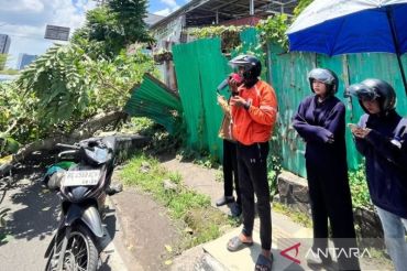 Pengemudi ojol tewas tertimpa pohon di Jalan Kapten A Rivai, Pemkot Palembang cek seluruh pohon peneduh