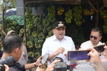 Kemandirian pangan berbasis masyarakat lewat urban farming