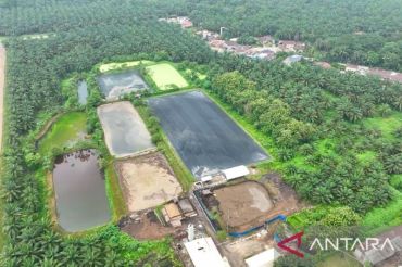 Dua PLTBg Ini Jadi Andalan PalmCo Tekan Biaya Energi di Tengah Gejolak Global