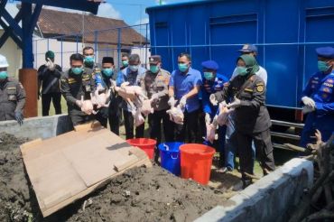 Karantina NTB memusnahkan 5,96 ton daging ayam asal Jatim