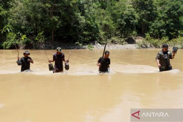 Peringati Hari Bumi Sedunia, aktivis lingkungan bersama jurnalis tanam pohon di Aceh