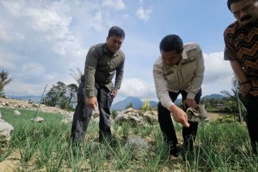 HDDAP targetkan 25 ribu petani Hortikultura naik kelas
