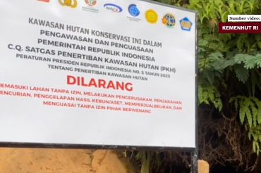 Seskab sebut penertiban kawasan hutan cerminan pemberantasan korupsi