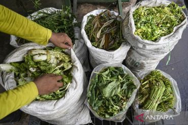 Melihat pengolahan sampah organik di Pasar Kramat Jati, begini prosesnya