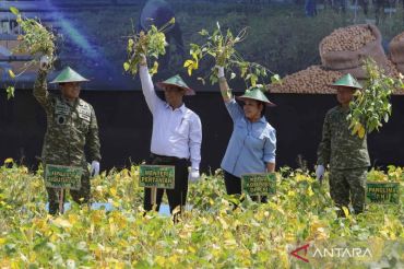 Panen kedelai ketahanan pangan di Nganjuk sebagai upaya menuju swasembada nasional
