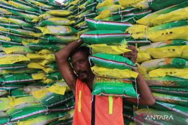 Realisasi penyaluran beras SPHP capai 428,9 ribu ton