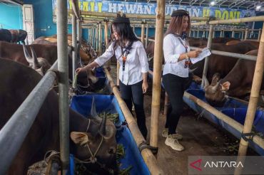 Penjual hewan kurban di Depok libatkan SPG ala pramugari untuk menarik pembeli