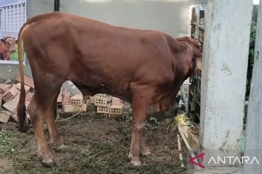 Lapas Perempuan Palembang salurkan hewan kurban ke warga binaan